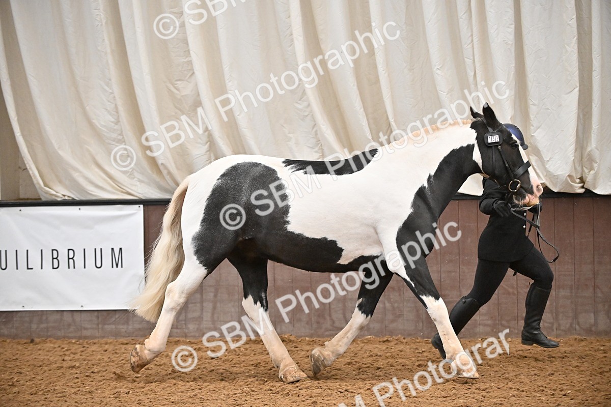 SBM_000007 - Class 1 - In Hand Cob