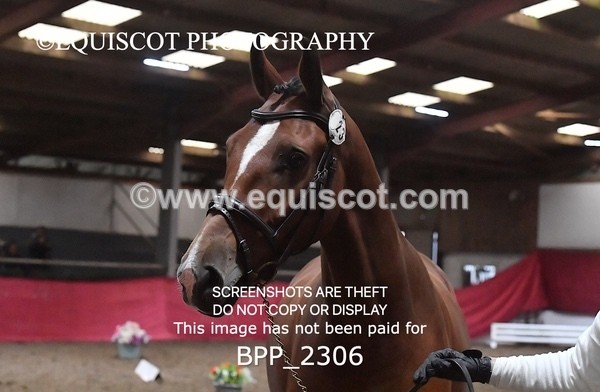 BPP_2306 - AFTERNOON 12.30 - 3.30PM