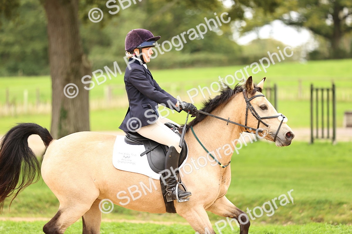 SBM_66543 - J17 - Junior Pony 80cm Championship