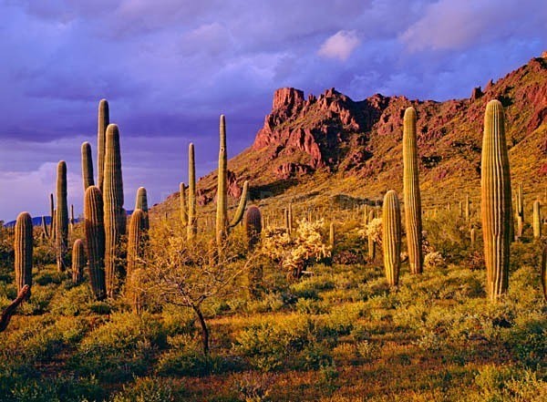 Istock #19103860 - Southwest Deserts