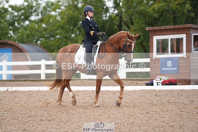 250907-154214-09616 - 122-India.JohnGrayswood.Orlando