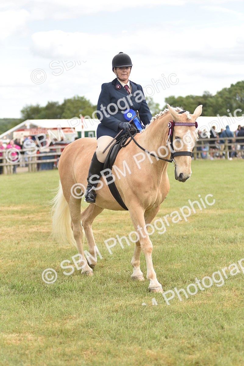 SBM_15953 - Class 117-122 - SSADL RIHS Qualifier