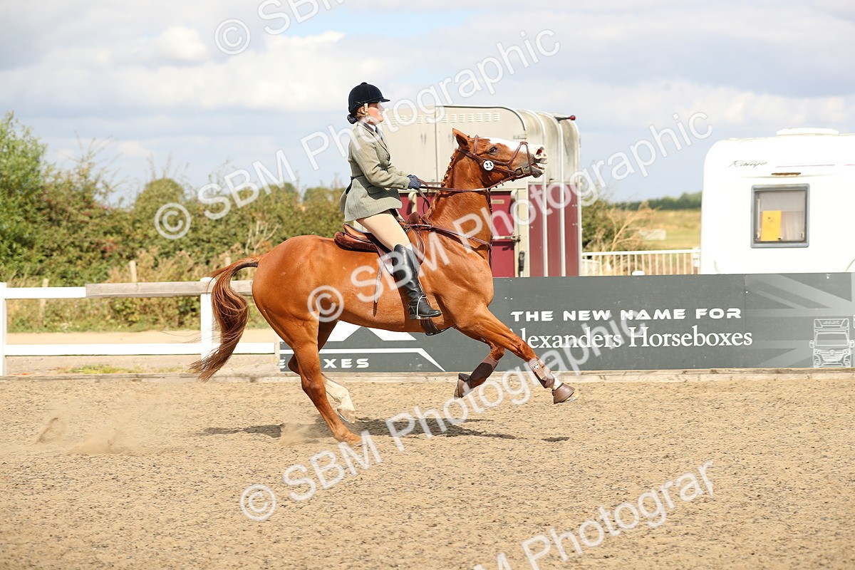 SBM_04789 - Class 46b Style & Performance 50cm (20+)