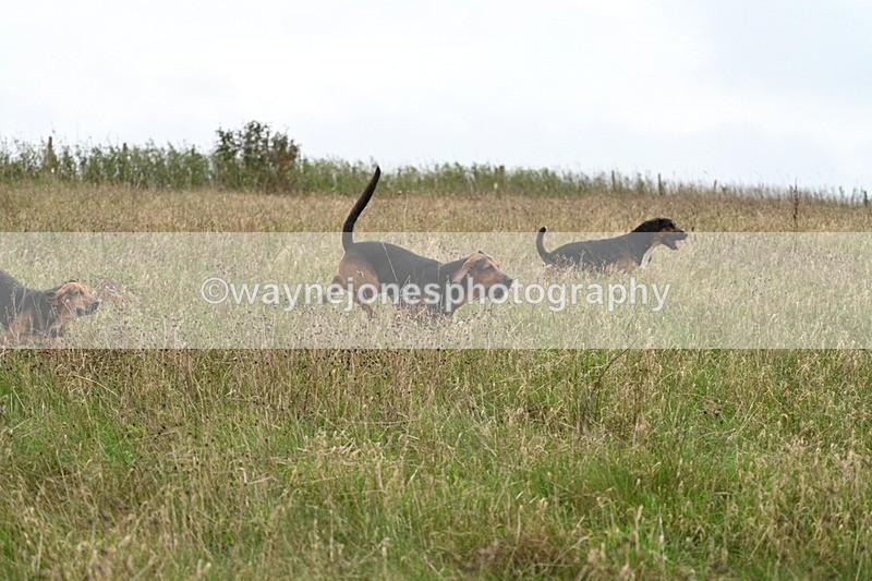 WJ7_9832 - Camera 1 & Last fence