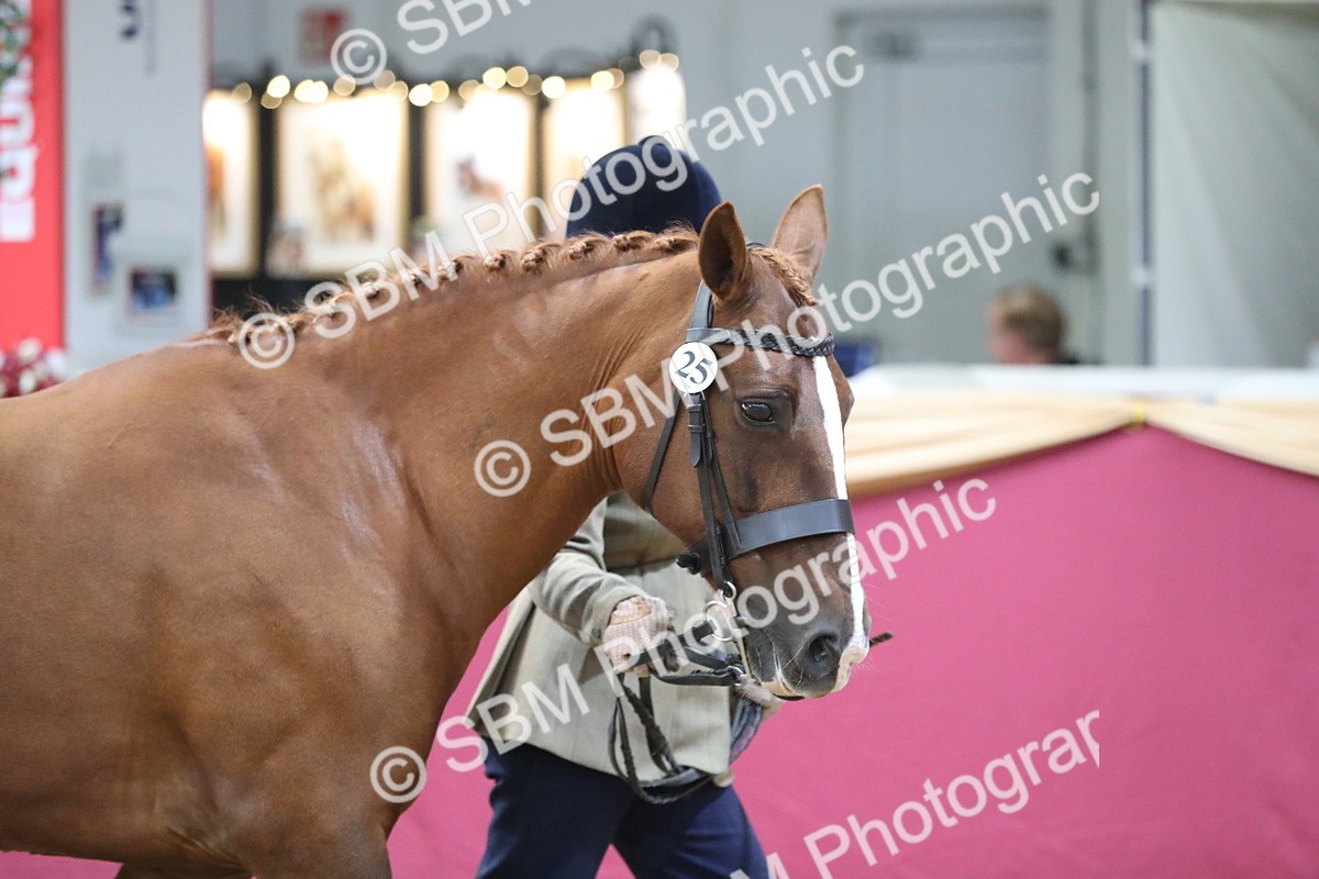 SBM_06514 - Regional IH Champ