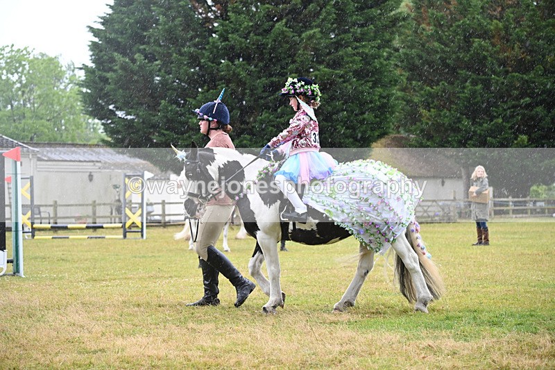 WJ6_9206 - Class 11 Fancy Dress