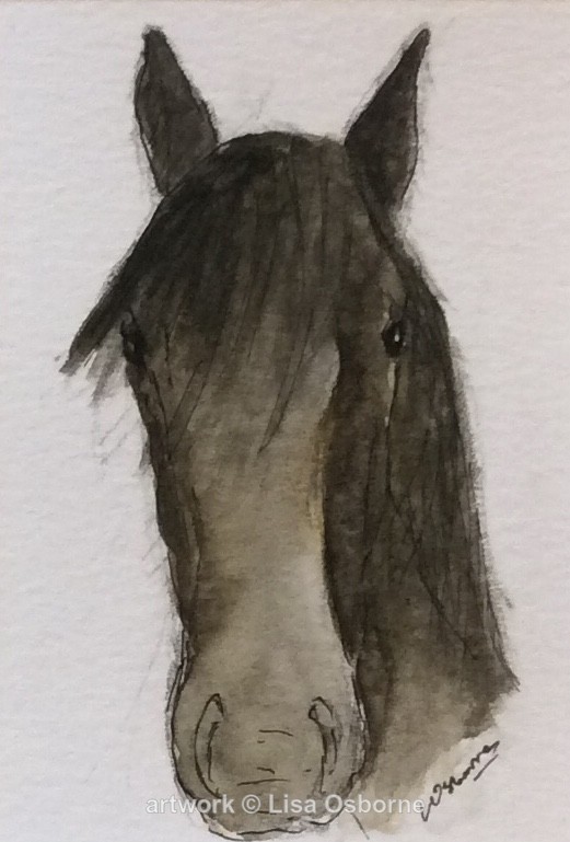 George - draught horse - Horses/Ponies