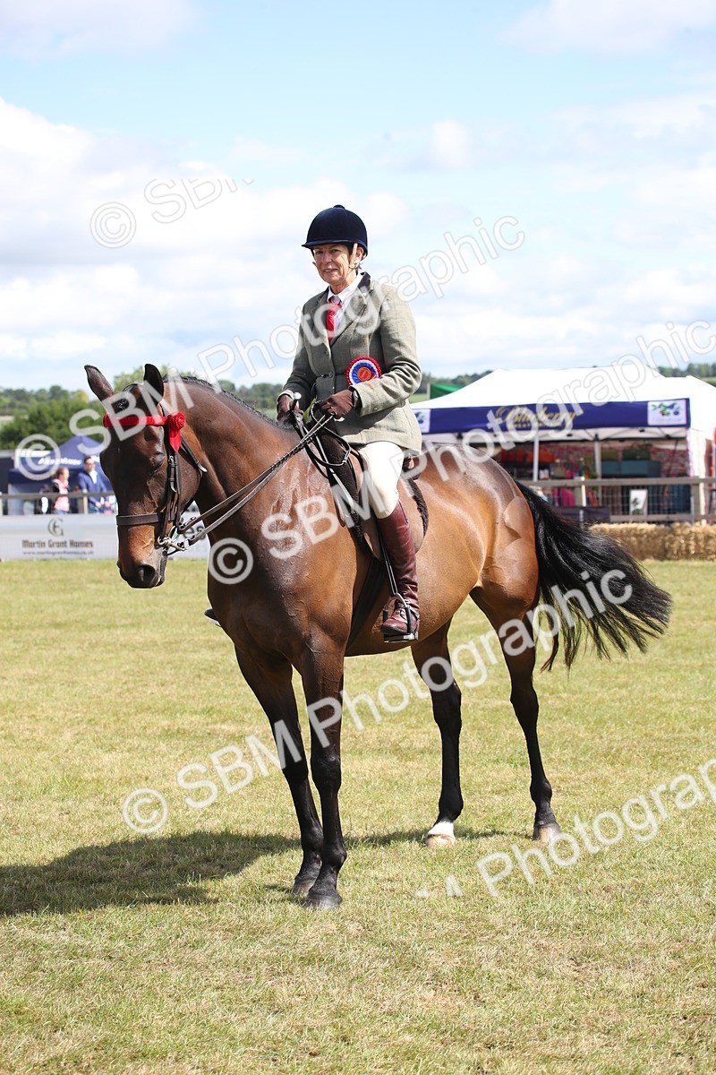 SBM_13332 - Class 95-96 - LIHS BSHA Rising Star Hack Riding Horse