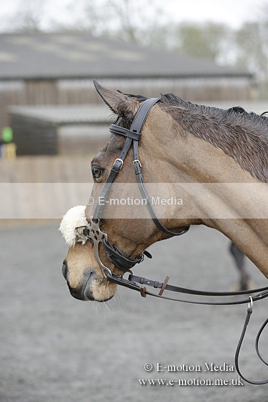 BVRC 050320 0312 - Bourne Valley riding Club Show Jumping Tidworth 08/03/20