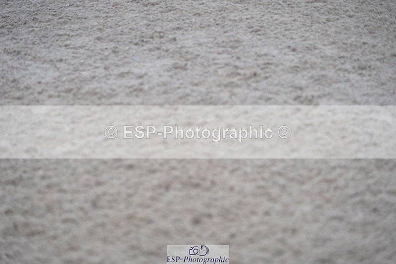 231017A-143728-07403 - Cls 29 Snr Foxhunter