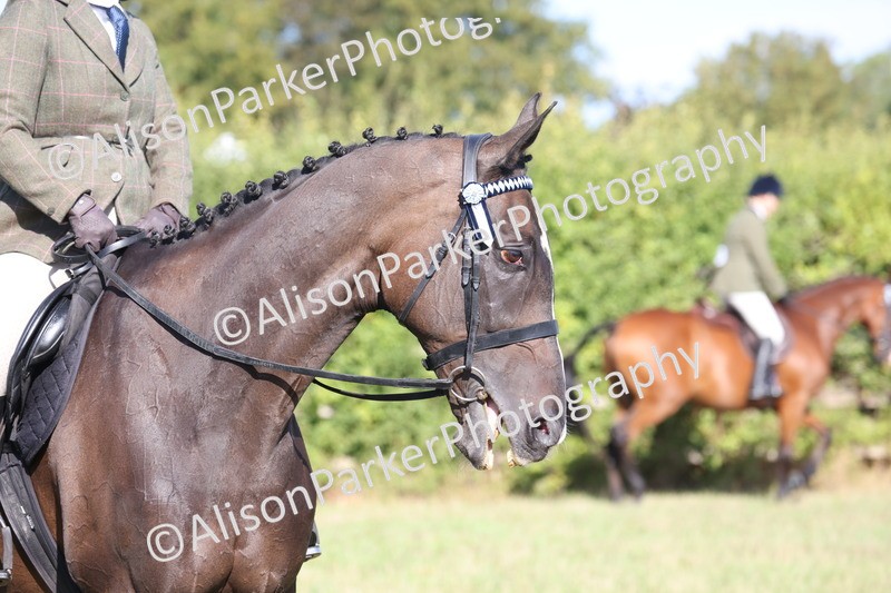 20260906-0385 - Class 14 - Ex Racehorse