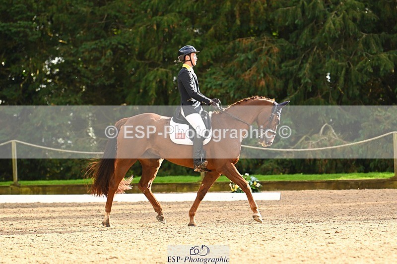 231021-152003-20820 - 257-LOXLEYS.LAST.STAND-Owen.Wong-DR