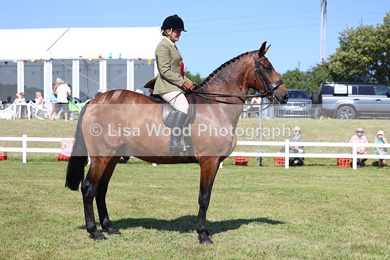 3E7A6800 - Class 4: Rising Star M/H Hunter