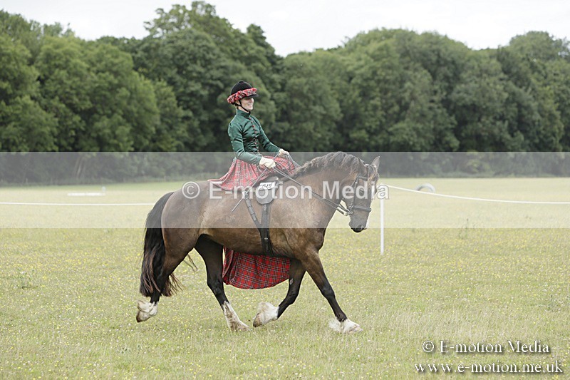 BVR160717-2424 - Side Saddle Classes 16/07/17