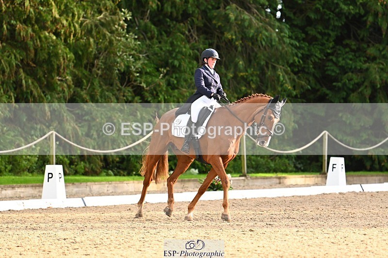 231021-161316-21054 - 264-BEST.ENDEAVOUR-Freddie.Taylor-DR