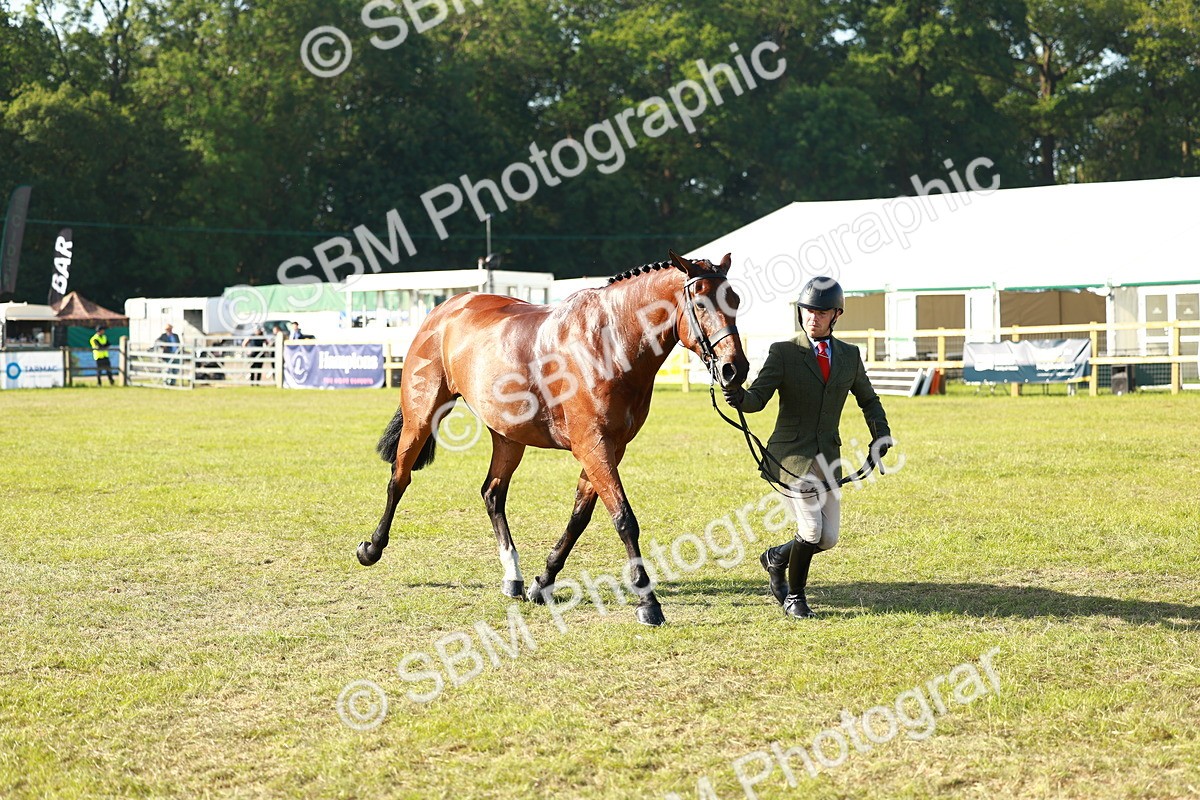 SBM_10795 - Class 66-69 - RIHS Ridden Hunters Inc Small Hunter