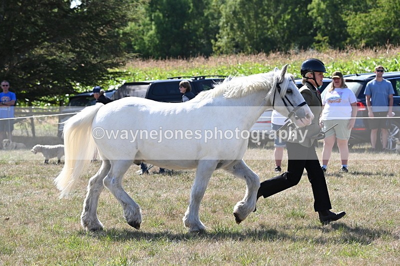 WJ6_4917 - Class 17 Mountain & Moorland