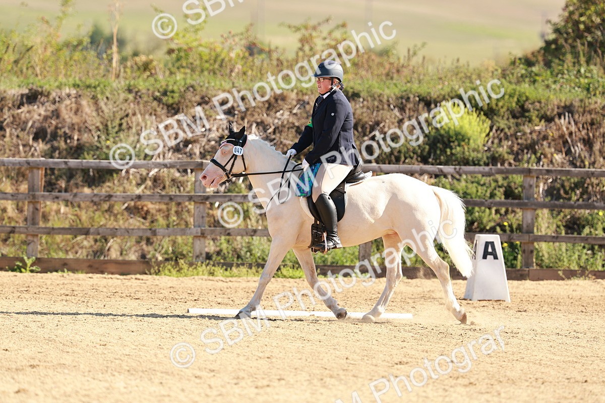 SBM_009307 - Class 2 - Intro 3