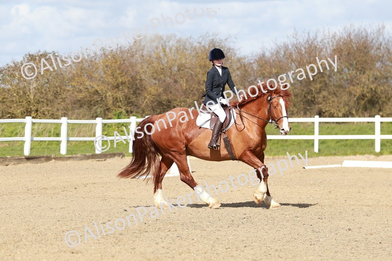 20260314-2935 - DR3 - Prelim 1