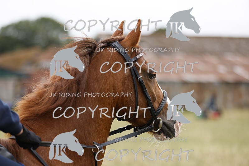 _R6A9339 - GENERAL PHOTOS
