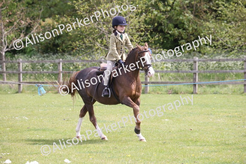 20260426-4050 - Class 33 - Best Pony 14.2hh and Under