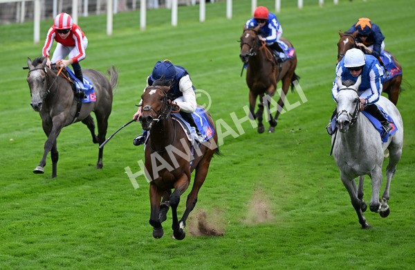 210825-003 Royal Fixation - Race 1 1.50pm Sky Bet Lowther Stakes