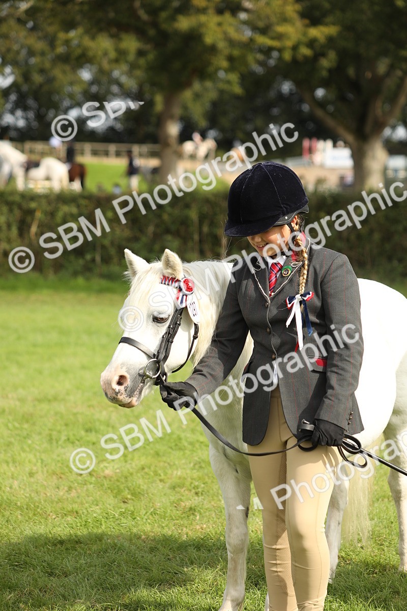 SBM_68681 - S40 - Junior Handler 9-12 Years
