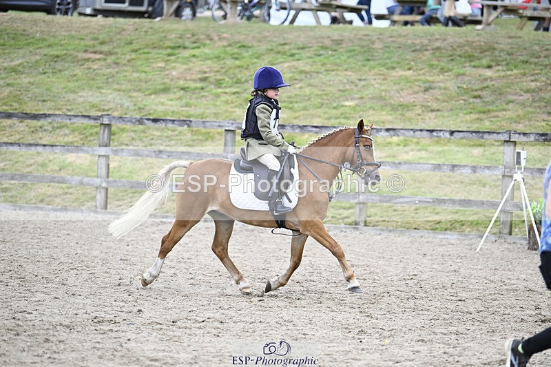 240822X-154929-11992 - 40cm A R2 15.00 to 16.16