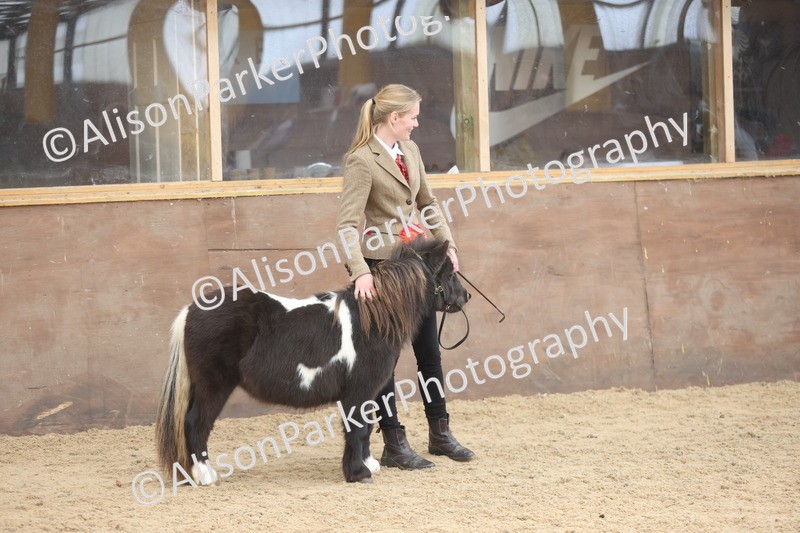 20251109-0430 - Championship