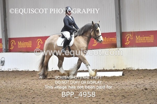 BPP_4958 - INTRO TEST 3