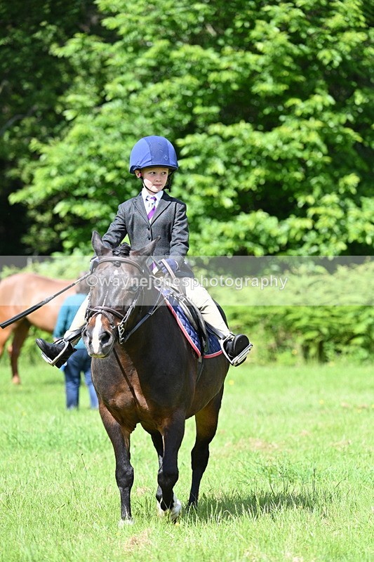 WJ7_1058 - Class 11 Condition & Turnout