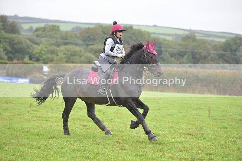 RAY_9837 - Class 2: 70cm: Corner