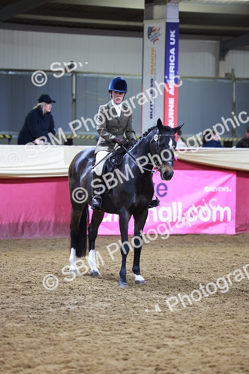 SBM_15730 - Class T - Working Veteran Champ