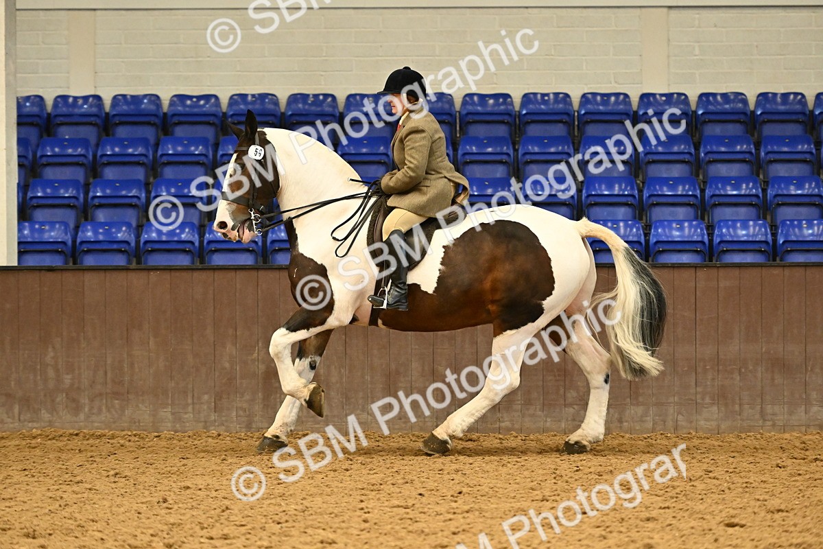 SBM_002039 - Class 21 - BSHA Ridden Show Cob