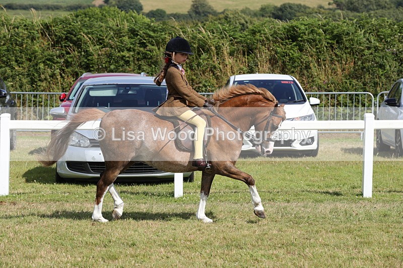 1X9A5651 - Class 40: NPS Welsh A & B