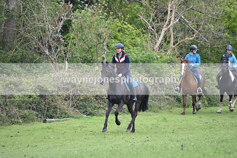WJ6_2924 - A Camera