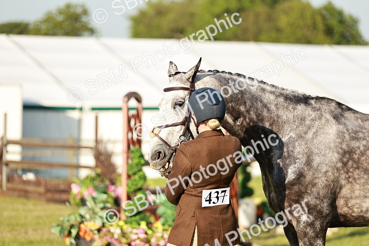 SBM_20507 - Class 117-119 - Sport Horse Working Hunter