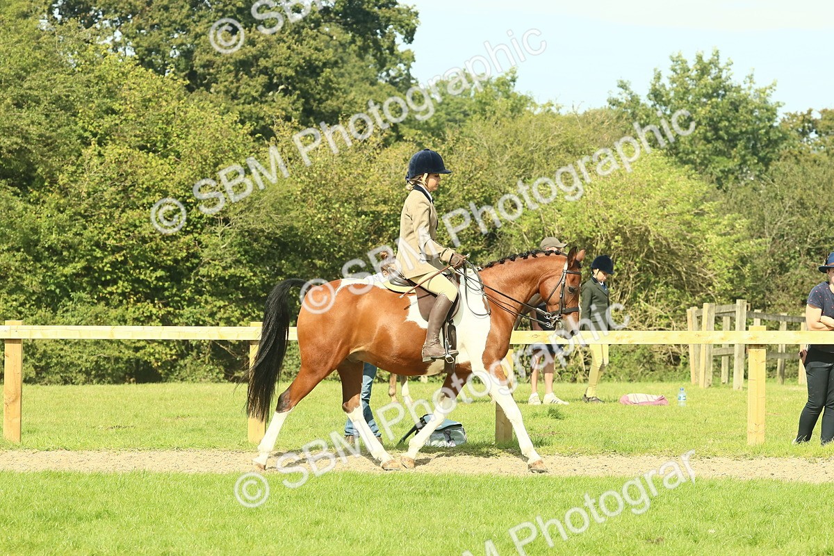 SBM_67400 - S56 - Coloured Pony Ridden