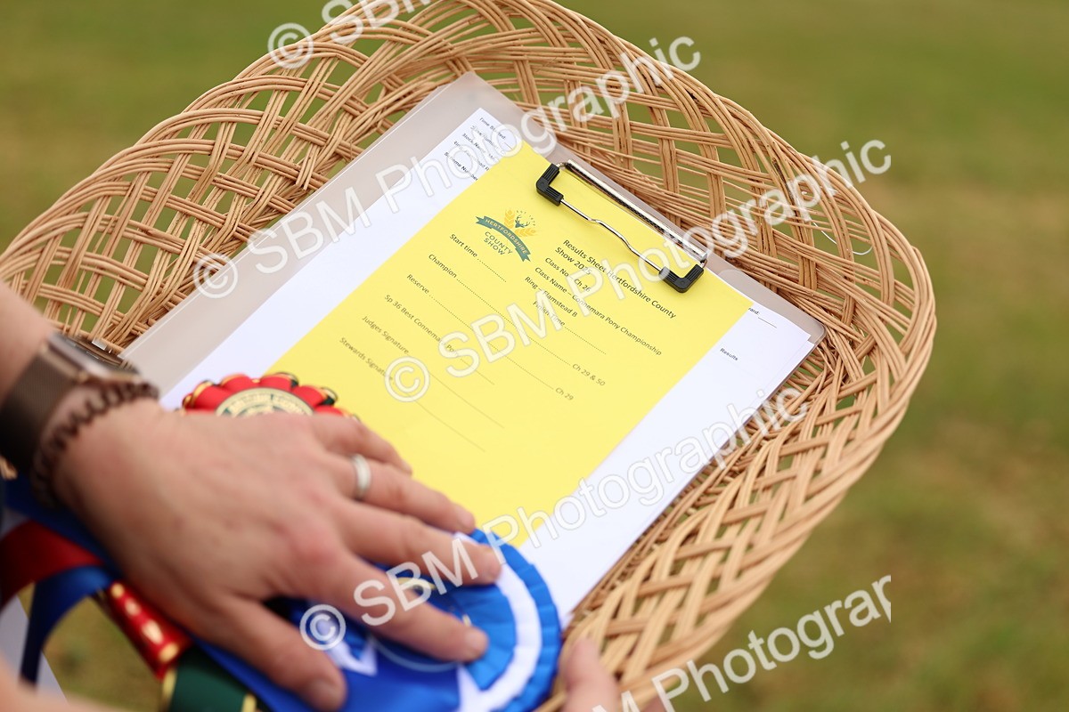 SBM_04262 - Class 64-67 - Shetland Pony In Hand
