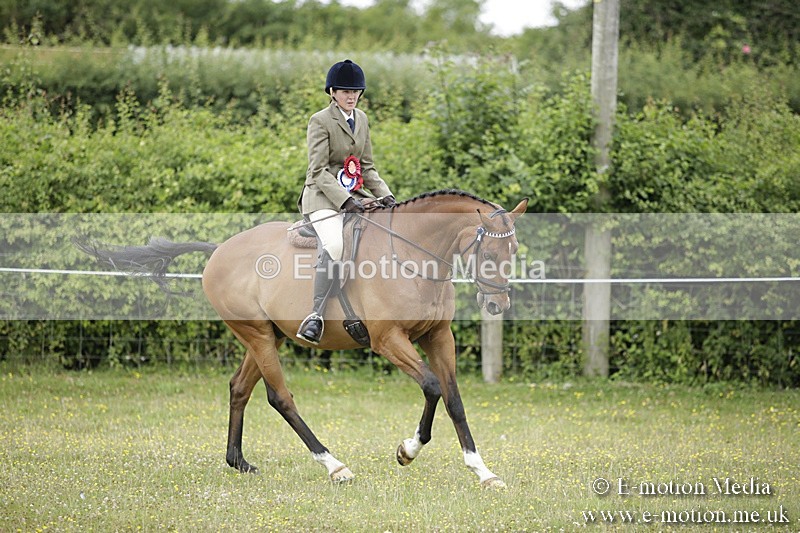 BVR160717-483 - Ring 1 BVRC Show 16/07/17