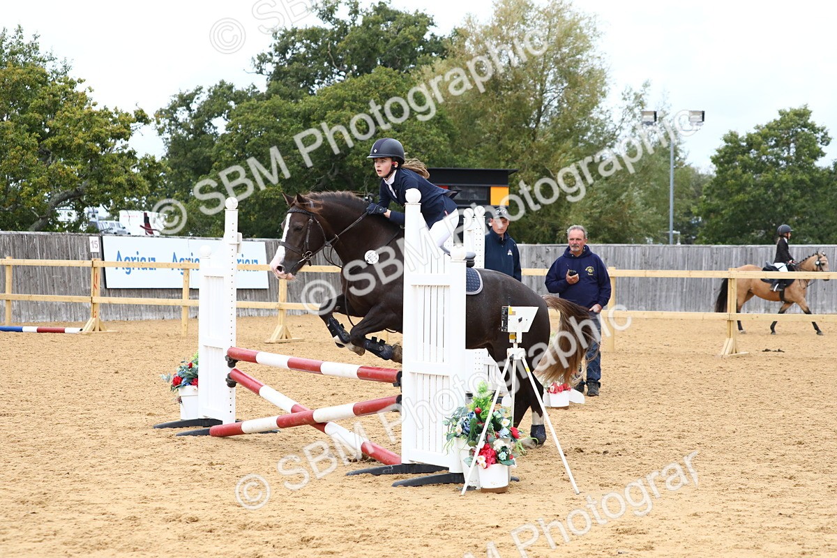SBM_65117 - Supreme Championship 50cm 60cm 70cm
