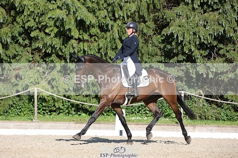 230526-172448-07969 - 178-RIDIRE_DORCHA-Lucy_Stimson-WEDTrotUp+DR