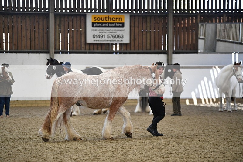 WJ5_4753 - Class 7 In hand coloured / odd coloured