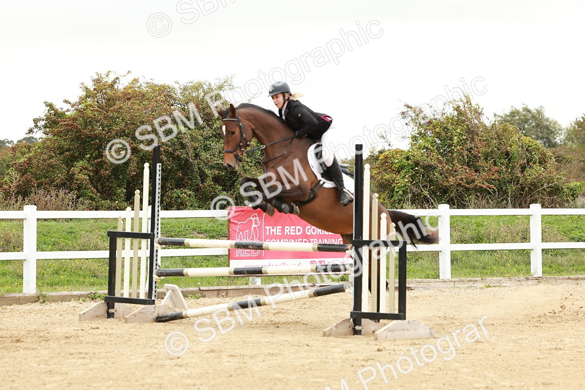 1I0A7092 - Class 2 - Senior British Novice