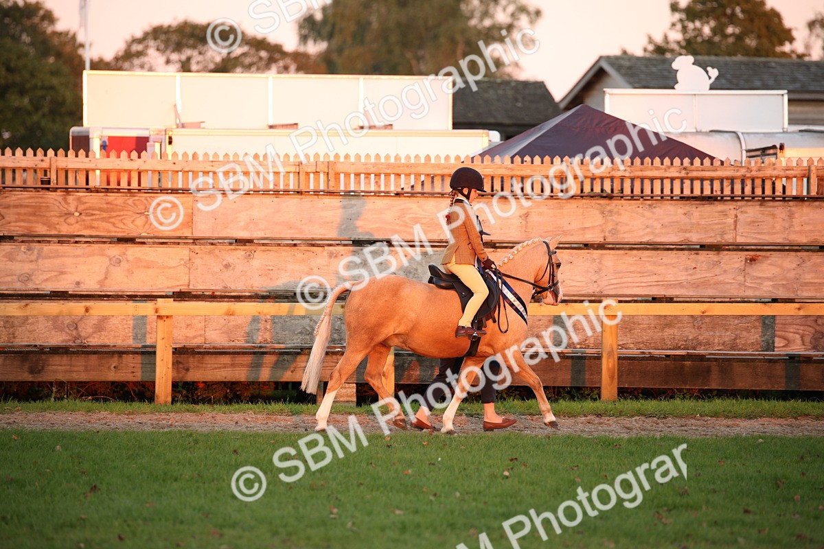 SBM_57105 - Super Supreme Championship