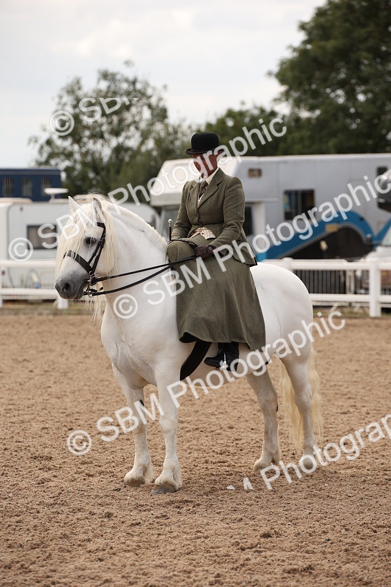 SBM_05518 - Class 22 SSA Equitation