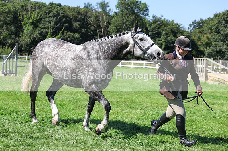 3E7A8473 - Class 4: Novice working Hunter