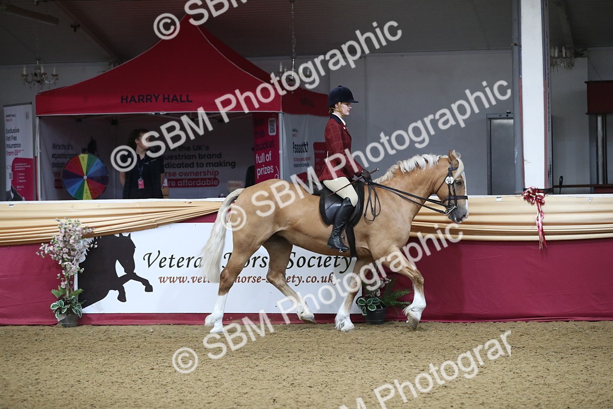 SBM_10335 - Class 102 Equitation (best rider) Adult