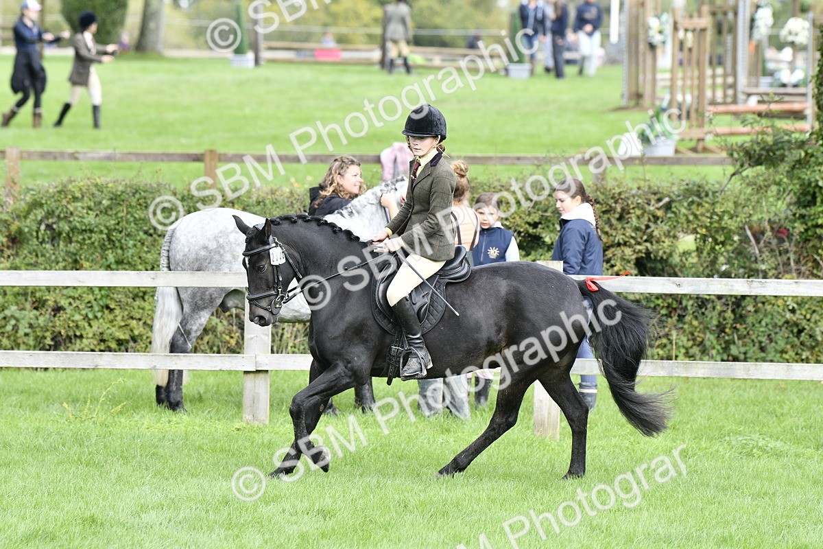SBM_41591 - S32 - Mountain & Moorland Working Hunter Pony