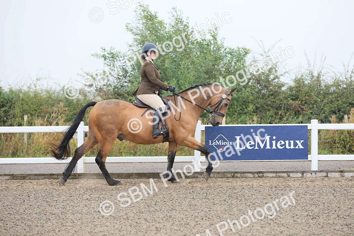 SBM_19863 - Class 801 - Ridden Veteran